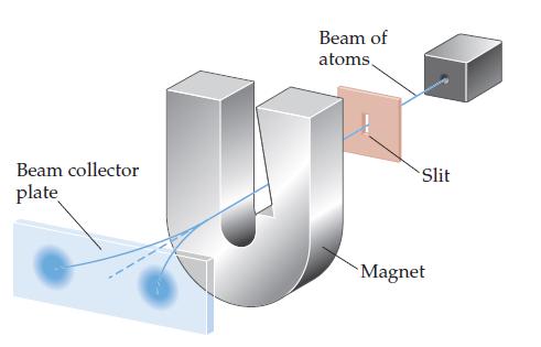 Beam of atoms. Beam collector Slit plate `Magnet