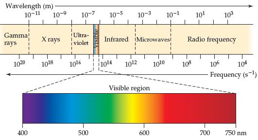 Wavelength (m)- 10-9 10-11 10-7 10-5 10-3 10-1 101 103 Gamma! X rays !Ultra- i violet rays Infrared iMicrowavesi Radio frequency 1020 1018 1016 1014 1012 1010 108 106 104 Frequency (s-1) Visible region 400 500 600 700 750 nm