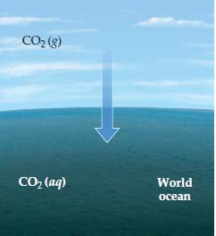 CO2 (8) CO, (aq) World осean