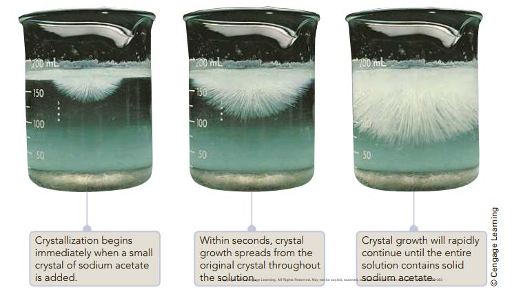 700 mL 200 mL 100 mL F150 150 100 100 50 50 50 Crystallization begins immediately when a small crystal of sodium acetate is added. Within seconds, crystal growth spreads from the original crystal throughout the solution. ig na aa can Crystal growth will rapidly continue until the entire solution