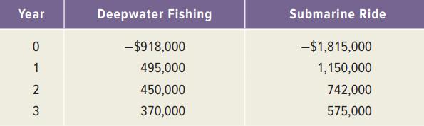 Year Deepwater Fishing Submarine Ride -$918,000 -$1,815,000 1 495,000 1,150,000 2 450,000 742,000 3 370,000 575,000