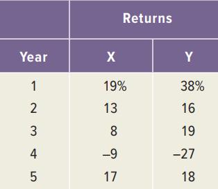 Returns Year X Y 1 19% 38% 2 13 16 8 19 4 -9 -27 17 18