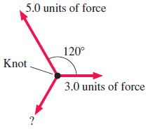 5.0 units of force 120° Knot. 3.0 units of force ?
