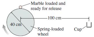 -Marble loaded and ready for release -100 cm- 40 cm Spring-loaded wheel Cup