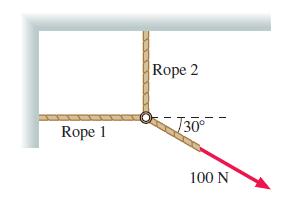 Rope 2 Rope 1 T30° 100 N