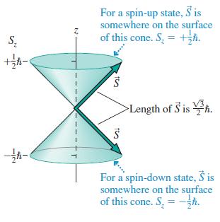 For a spin-up state, S is somewhere on the surface of this cone. S, = +h. V3 >Length of S is h. For a spin-down state, Š is somewhere on the surface of this cone. S, = -h. /2