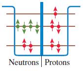 Neutrons Protons