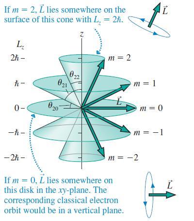 If m = 2, L lies somewhere on the surface of this cone with L, = 2h. L, 2h – m = 2 22 021 h- m = 1 0- O20 m = 0 -h- m = -1 - 2h - m = -2 If m = 0, L lies