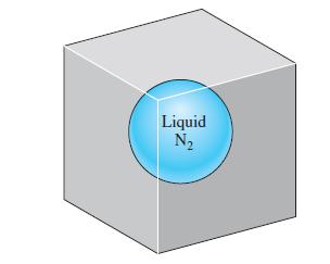 Liquid N