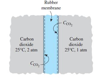Carbon dioxide 25C, 2 atm Cco Rubber membrane -co Carbon dioxide 25C, 1 atm