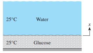 25C 25C Water Glucose X