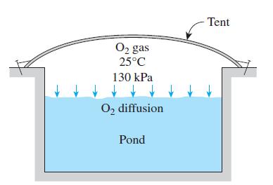 O gas 25C 130 kPa O diffusion Pond Tent