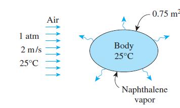 1 atm 2 m/s 25C Air Body 25C 0.75 m Naphthalene vapor