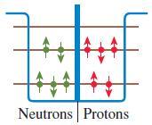 MM WW Neutrons Protons