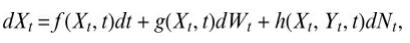 dX = f(X, t)dt + g(X, t)dW + h(X, Y, t)dN,
