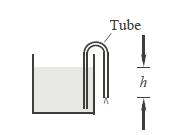 Tube h