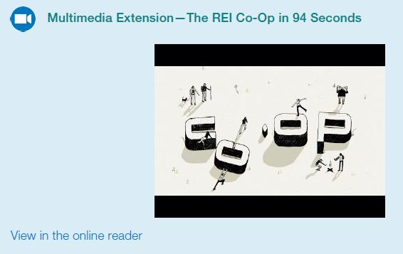I Multimedia Extension- The REl Co-Op in 94 Seconds View in the online reader