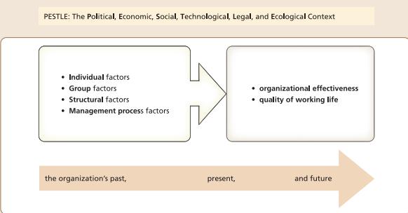 PESTLE: The Political, Economic, Social, Technological, Legal, and Ecological Context  Individual factors