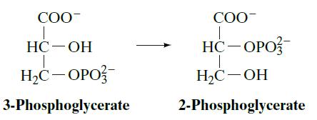 COO T HC-OH T HC-OPO 3-Phosphoglycerate COO T HC-OPO T HC-OH 2-Phosphoglycerate