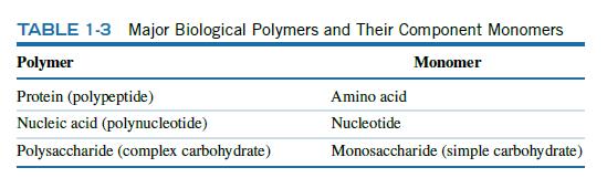TABLE 1-3 Major Biological Polymers and Their Component Monomers Polymer Monomer Protein (polypeptide)