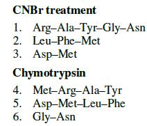 CNBr treatment 1. Arg-Ala-Tyr-Gly-Asn 2. Leu-Phe-Met 3. Asp-Met Chymotrypsin 4. Met-Arg-Ala-Tyr 5.