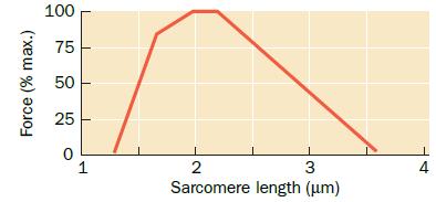 Force (% max.) 100 75 50 25 0 1 2 3 Sarcomere length (um) 4