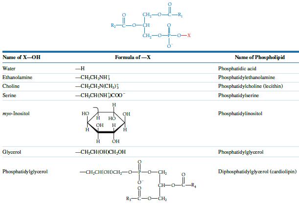 Name of X-OH Water Ethanolamine Choline Serine myo-Inositol Glycerol Phosphatidylglycerol HO R -H CH,CH_NH