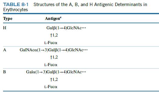 TABLE 8-1 Structures of the A, B, and H Antigenic Determinants in Erythrocytes  H A B Antigen