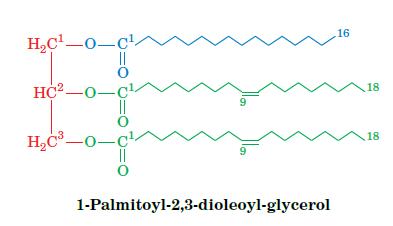 HC-0-cl HC-0- || || HC-0-C 9 9 1-Palmitoyl-2,3-dioleoyl-glycerol 16 18 18