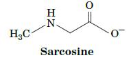 HC H N. 0 Sarcosine -0