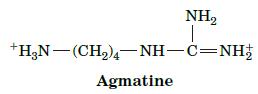NH T *HgN(CH,)4NH-C=NH Agmatine