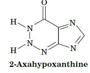H H N Z-Z N N. N N 2-Axahypoxanthine