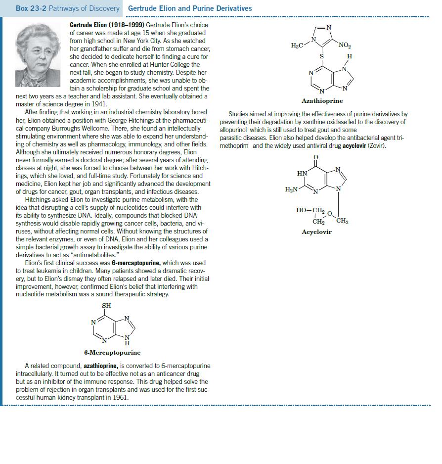 Box 23-2 Pathways of Discovery Gertrude Elion and Purine Derivatives ****** Gertrude Elion (1918-1999)