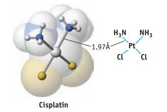 Cisplatin HN NH3 Pt -1.97A- CL CL