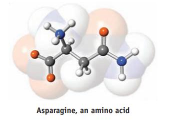 Asparagine, an amino acid