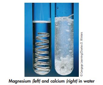 www Cengage Learning/Charles D. Winters Magnesium (left) and calcium (right) in water