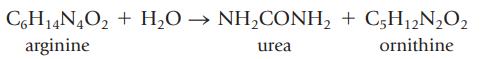 C6H14N4O2 + HO  NHCONH + C5H2NO2 arginine urea ornithine