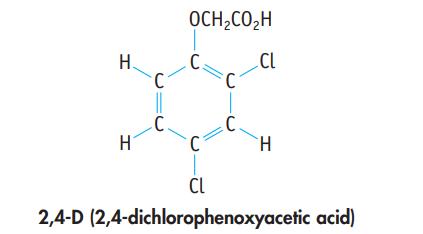 H. H C C. OCHCOH C. C C. CL H CL 2,4-D (2,4-dichlorophenoxyacetic acid)