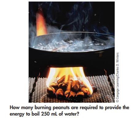 Cengage Learning/Charles D. Winters How many burning peanuts are required to provide the energy to boil 250
