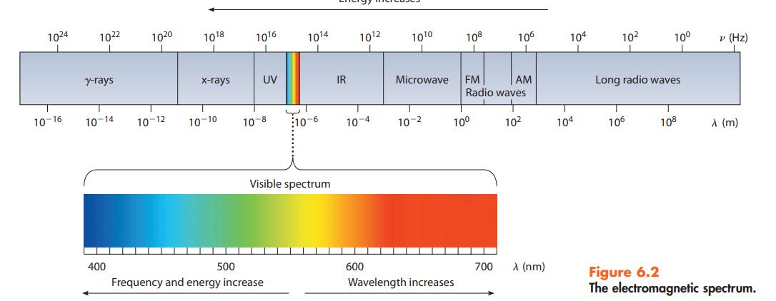 1024 10-16 1022 y-rays 10-14 400 1020 10-12 1018 x-rays 10-10 1016 UV 10-8  500 Frequency and energy increase