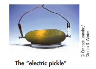 The "electric pickle"  Cengage Learning/ Charles D. Winter