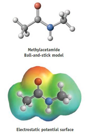 Methylacetamide Ball-and-stick model Electrostatic potential surface