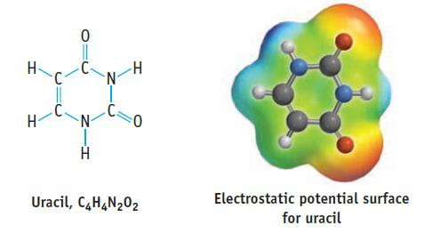 H H C 0 N I H -Z N C H 0 Uracil, C4H4N02 Electrostatic potential surface for uracil