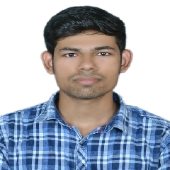 Offline tutor Pawan Raut Indian Institute of Technology, Delhi, Nagpur, India, Chemical Engineering tutoring