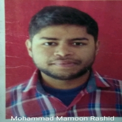 Offline tutor Mohammad Mamoon Rashid APJ Abdul Kalam Technological University,  tutoring