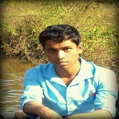 Nabajit K.