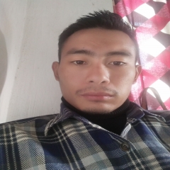 Offline tutor M Chumlanthung Kikon Nagaland University,  tutoring