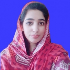 Offline tutor Ayesha Raziq Capital University of Science and Technology, Islamabad, Pakistan, Applications Build Website Databases Operating System Programming Systems Analysis And Design Web Development tutoring