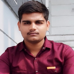Vivek K.