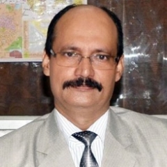 Offline tutor Bibhuti Sharan Dr. A P J ABDUAL KALAM TECHNICAL UNIVERSITY, Greater Noida, India,  tutoring